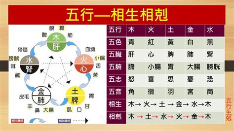 八字生剋|「八字入門講解」四柱間的五行生剋關係運作